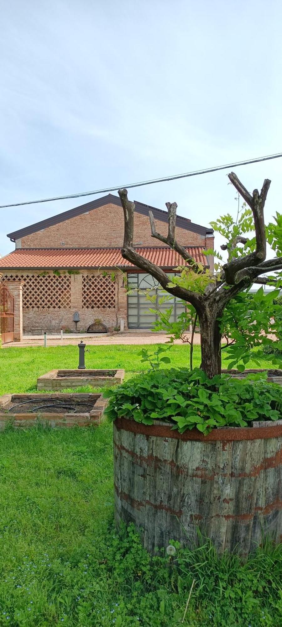 B&B Rocambola Nogara Dış mekan fotoğraf